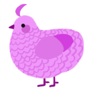 Orchid yxy 2, a lavender and orchid chicken with a lace pattern