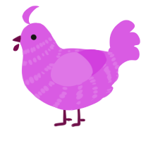 (unnamed), a orchid chicken with a bar pattern