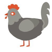 A grey and ash chicken with a head pattern