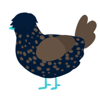 (unnamed), a tumblr and bark chicken with a speckle pattern