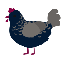Were Going Places, a tumblr and grey chicken with a half-lace pattern