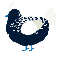 Yume, a tumblr and white chicken with a half-lace pattern