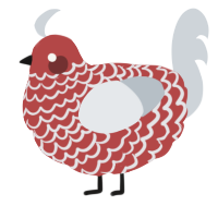 Flowing Vengeance, a red and mist chicken with a lace pattern