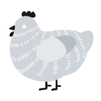 A mist chicken with a bar pattern