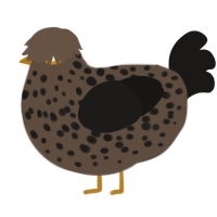A bark and sable chicken with a speckle pattern