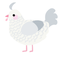 Butter, a white and mist chicken with a lace pattern