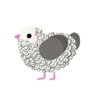 Spike, a white and grey chicken with a double-lace pattern