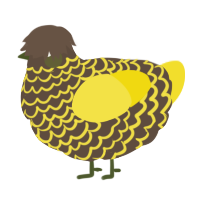 A bark and yellow chicken with a lace pattern