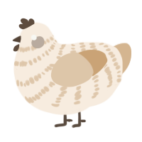 A cream and beige chicken with a bar pattern