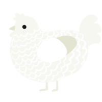 A white chicken with a lace pattern