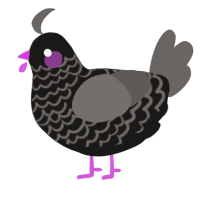 A sable and grey chicken with a lace pattern