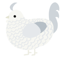 A white and mist chicken with a lace pattern