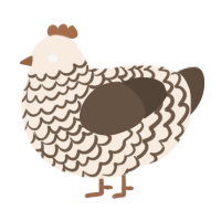 A cream and bark chicken with a lace pattern