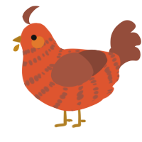 A vermilion and russet chicken with a bar pattern