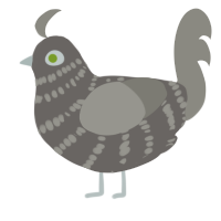 Willow Wisp, a grey and ash chicken with a bar pattern