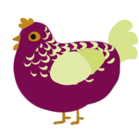 ufs apple shavings, a wine and lemon chicken with a half-lace pattern