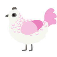 Maia, a white and pink chicken with a half-lace pattern