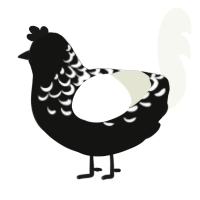 A black and white chicken with a half-lace pattern