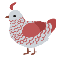 A mist and red chicken with a lace pattern