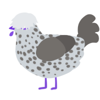 A mist and grey chicken with a speckle pattern