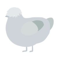 A mist and silver chicken