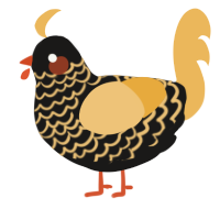 A sable and honey chicken with a lace pattern