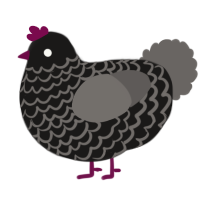 A sable and grey chicken with a lace pattern