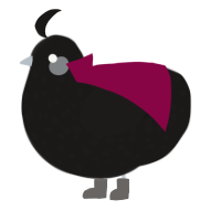X, a sable chicken with a speckle pattern