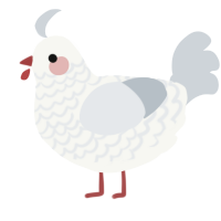 A white and mist chicken with a lace pattern