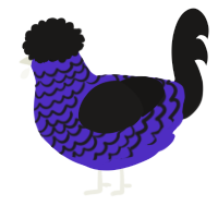 A indigo and sable chicken with a lace pattern