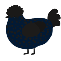 A tumblr and sable chicken with a speckle pattern