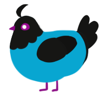 (unnamed), a cerulean and black chicken with a head pattern