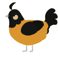 A orange and black chicken with a head pattern