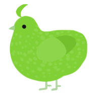 A grass chicken with a speckle pattern