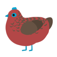 A red and bark chicken with a half-lace pattern