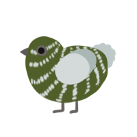 A olive and silver chicken with a bar pattern