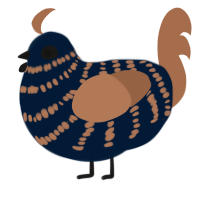 Dipped in Coffee, a tumblr and brown chicken with a bar pattern