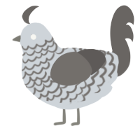A mist and grey chicken with a lace pattern