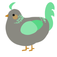 A ash and spring chicken with a neck-band pattern