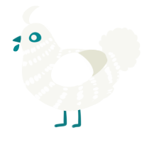 A white chicken with a bar pattern