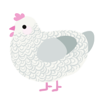 A white and silver chicken with a double-lace pattern