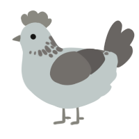 A silver and grey chicken with a neck-speckle pattern