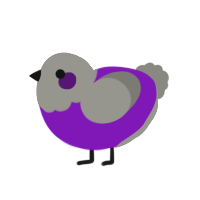 A violet and ash chicken with a head pattern