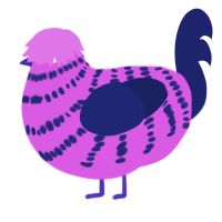 Xeera, a orchid and navy chicken with a bar pattern