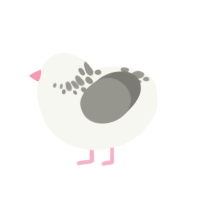 A white and ash chicken with a neck-speckle pattern