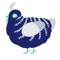 A navy and mist chicken with a half-bar pattern