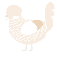 A cream chicken with a lace pattern