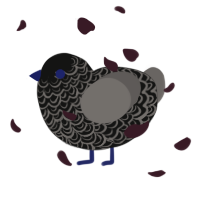 A black and grey chicken with a double-lace pattern