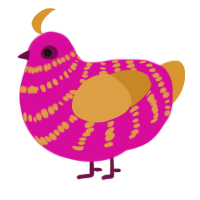 Rhubarb, a fuchsia and orange chicken with a bar pattern
