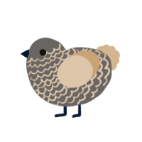 A grey and beige chicken with a lace pattern